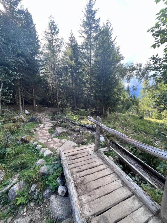 Rifugetto Lejlighed Marilleva Eksteriør billede