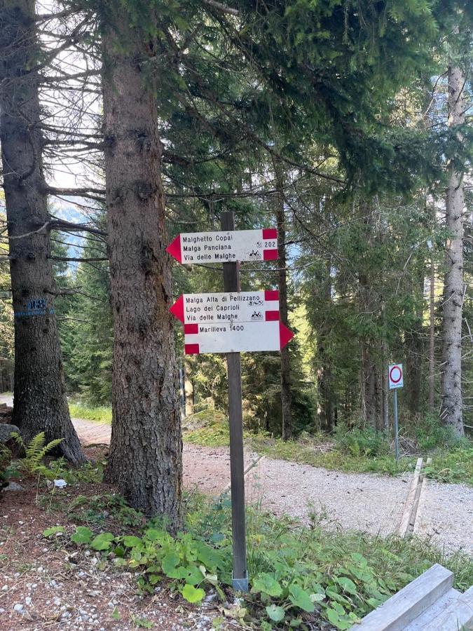 Rifugetto Lejlighed Marilleva Eksteriør billede